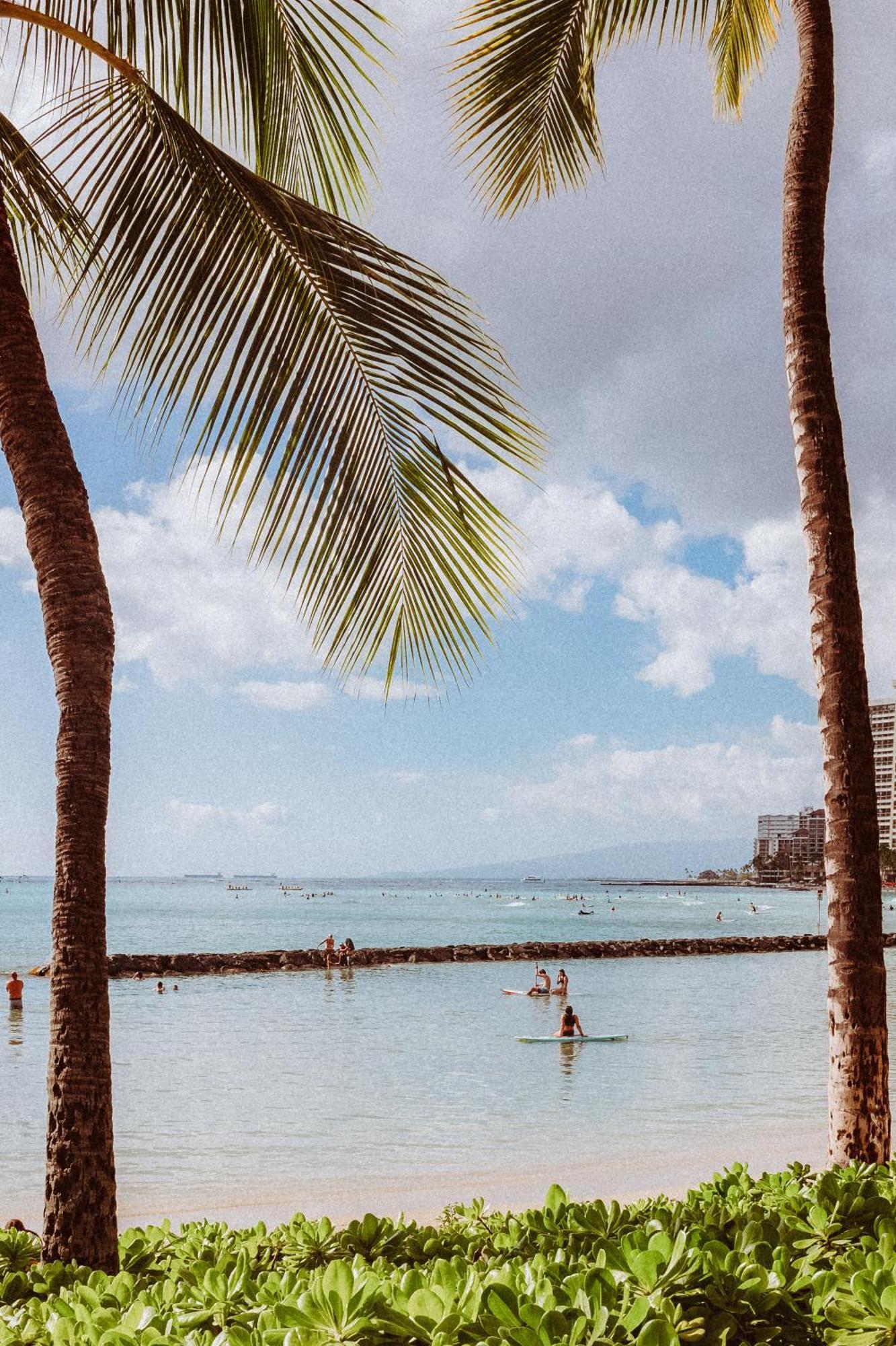 Royal Grove Waikiki Otel Honolulu Dış mekan fotoğraf