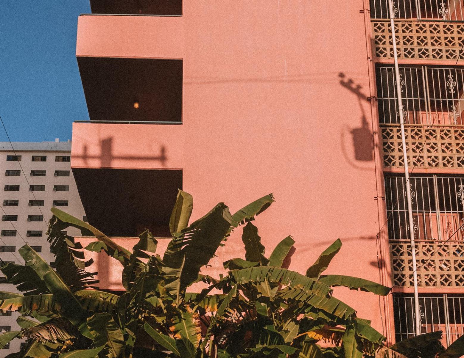 Royal Grove Waikiki Otel Honolulu Dış mekan fotoğraf